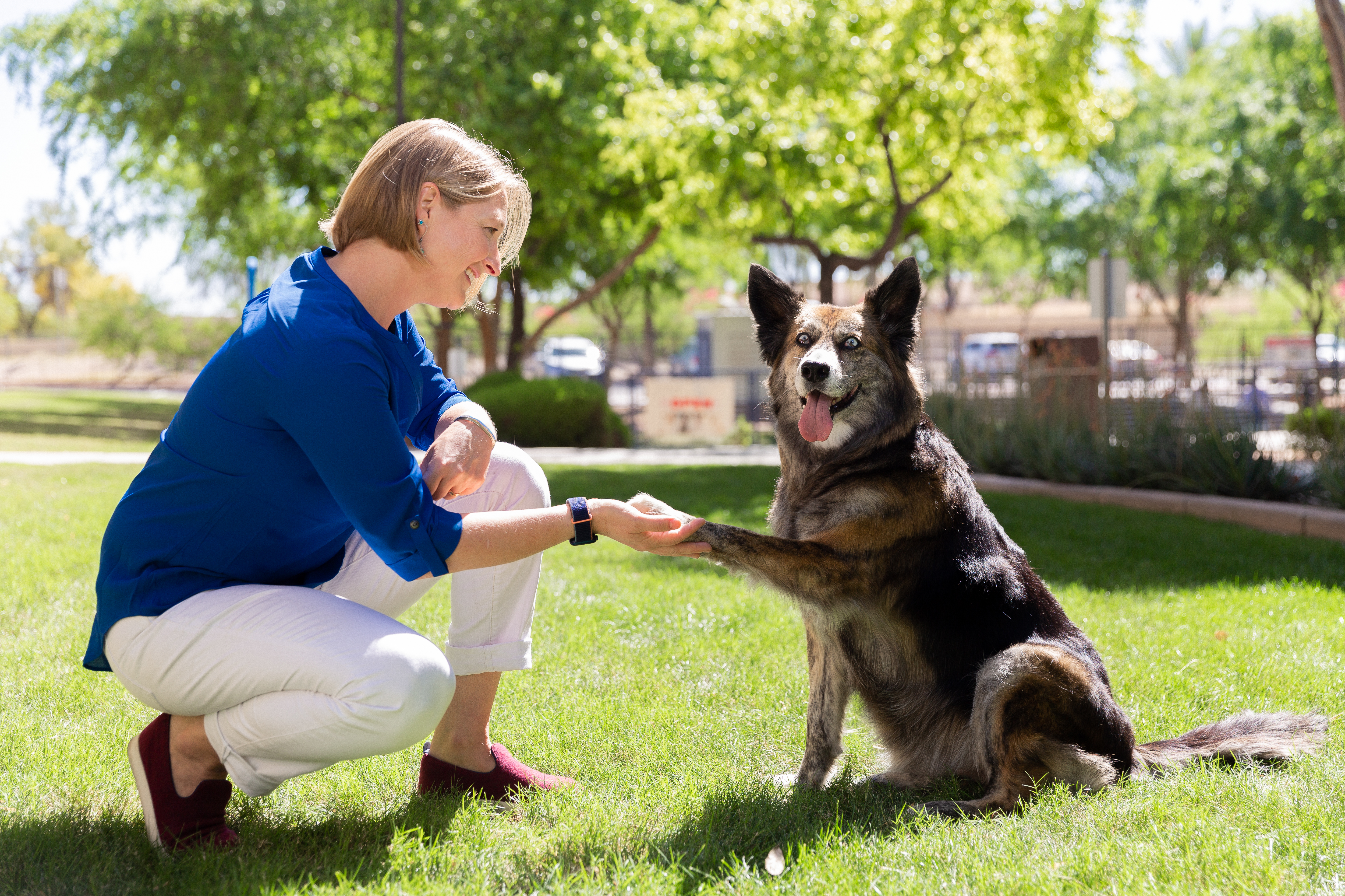 kate with ivy dog enrichment