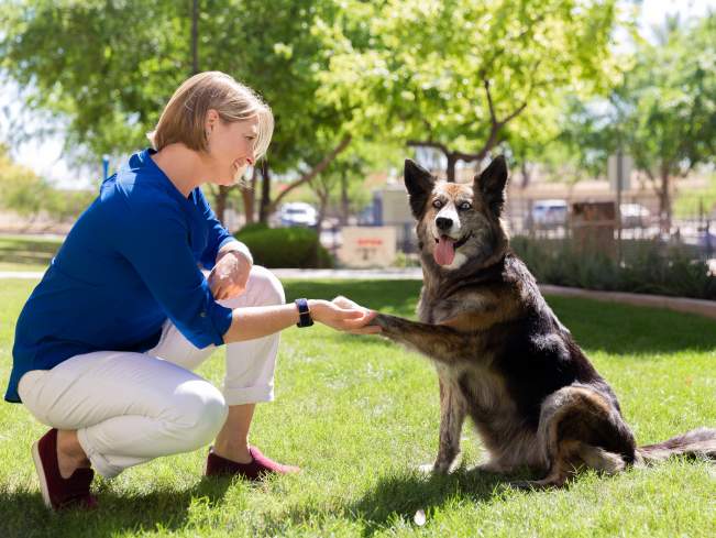 kate with ivy dog enrichment