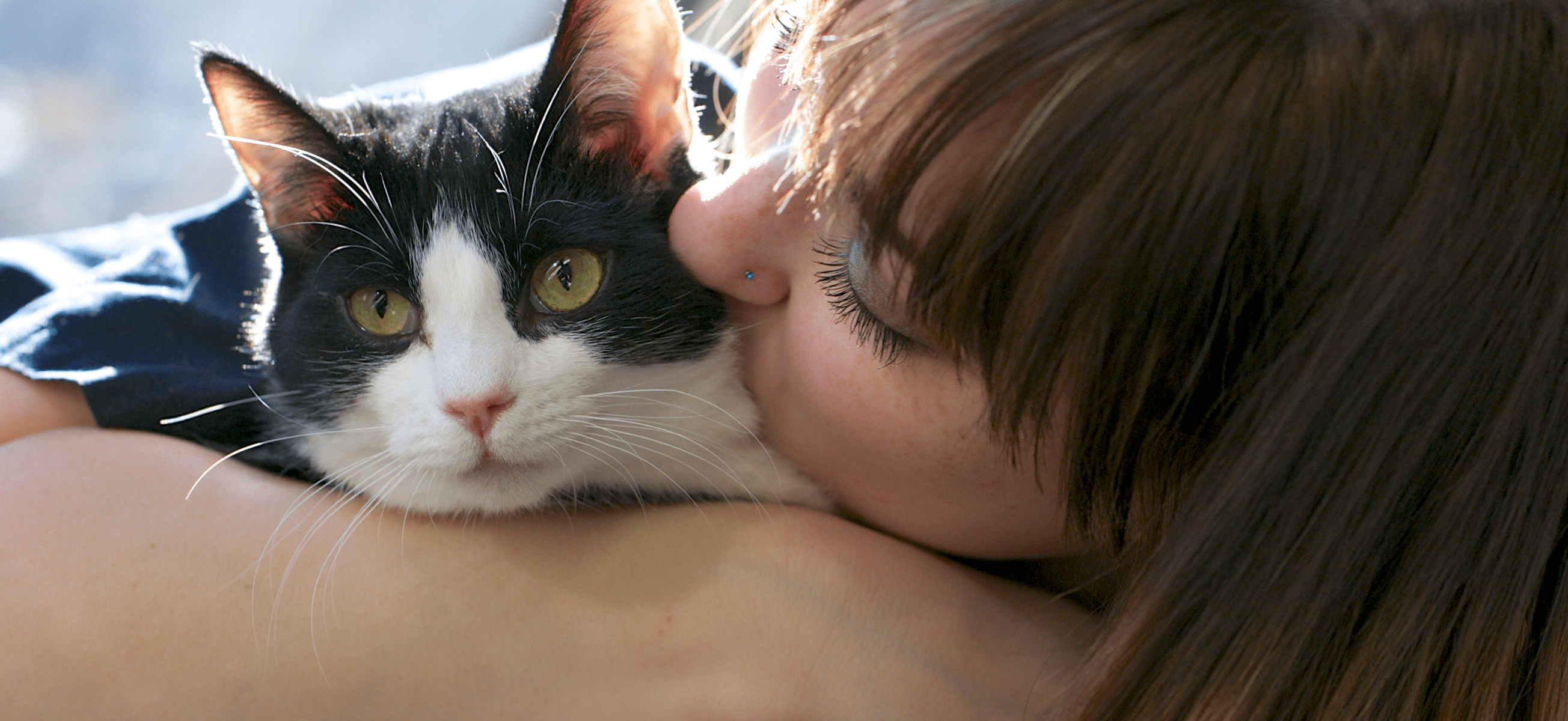 Cat, Lady, Adoption, bond